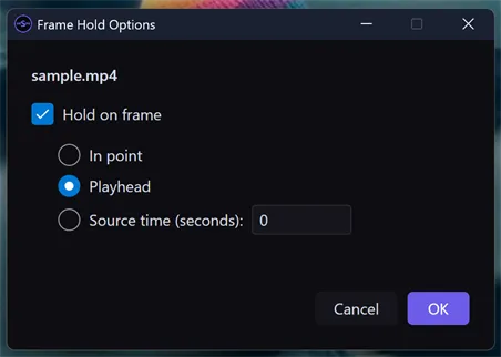 The Frame Hold Options dialog: sample.mp4, a Hold on frame checkbox, and In point / Playhead / Source time choices